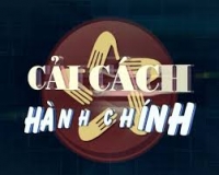 Bạn có biết có bao nhiêu thủ tục hành chính cấp Cục thuế không?